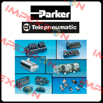 TTF1005QBS1EG24A Parker