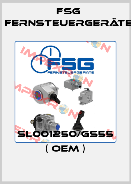 SL001250/GS55 ( OEM ) FSG Fernsteuergeräte