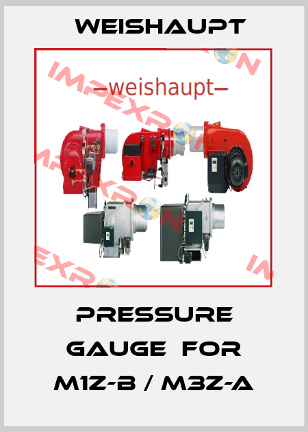 Pressure gauge  for M1Z-B / M3Z-A Weishaupt