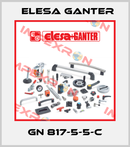 GN 817-5-5-C Elesa Ganter