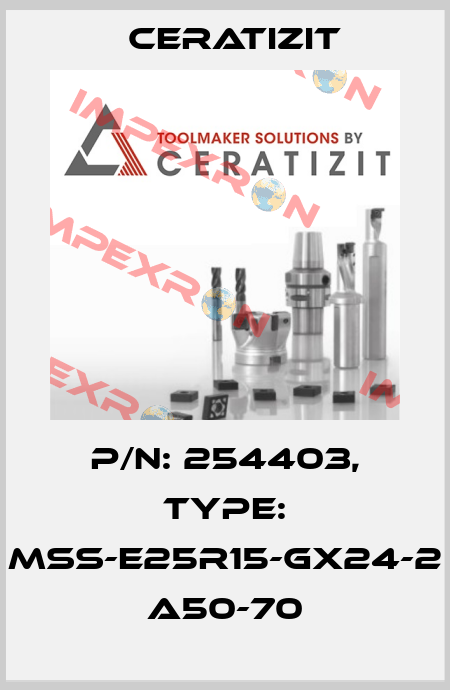 P/N: 254403, Type: MSS-E25R15-GX24-2 A50-70 Ceratizit
