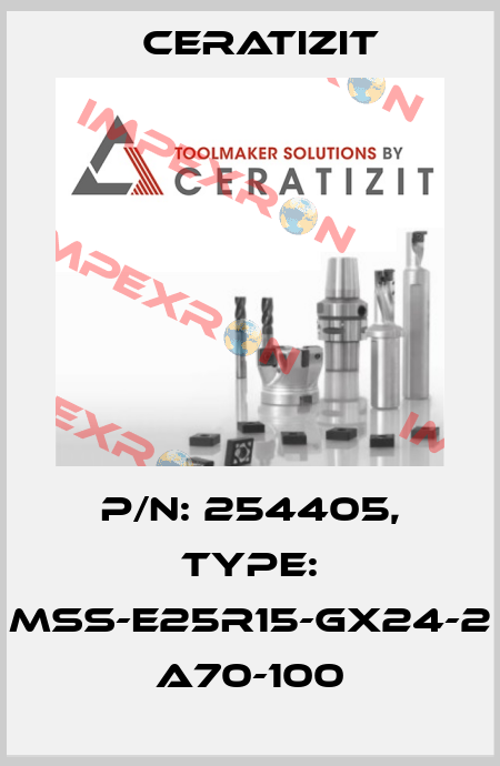 P/N: 254405, Type: MSS-E25R15-GX24-2 A70-100 Ceratizit
