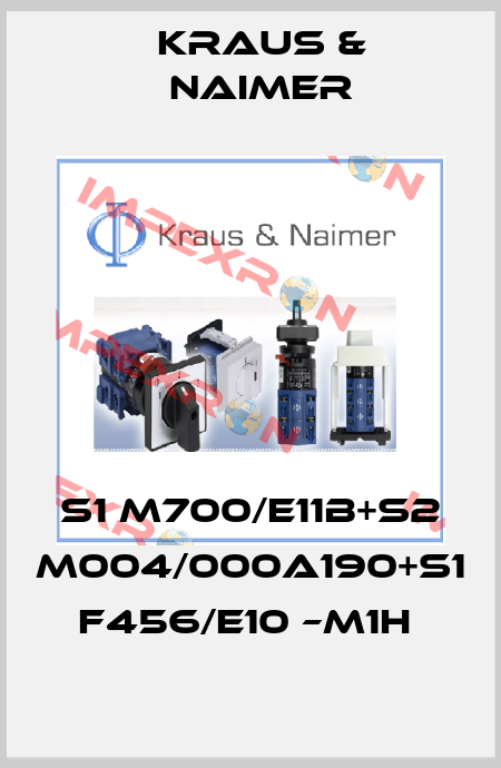 S1 M700/E11B+S2 M004/000A190+S1 F456/E10 –M1H  Kraus & Naimer