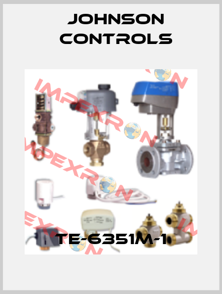 TE-6351M-1 Johnson Controls