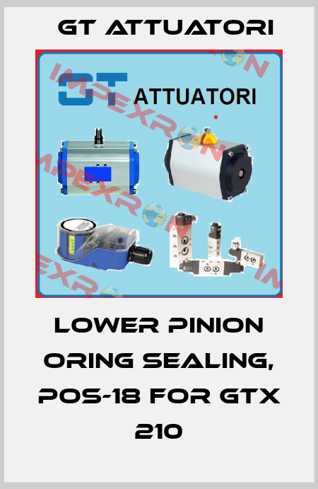 LOWER PINION ORING SEALING, POS-18 for GTX 210 GT Attuatori