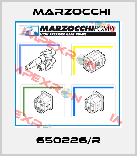 650226/R Marzocchi