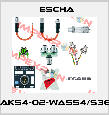 WAKS4-02-WASS4/S366 Escha