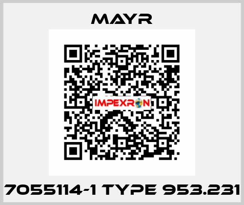 7055114-1 Type 953.231 Mayr