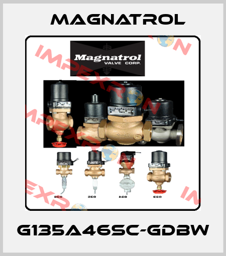 G135A46SC-GDBW Magnatrol