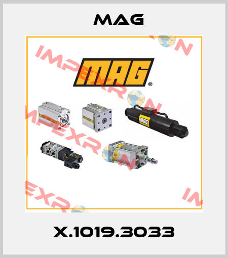 X.1019.3033 Mag