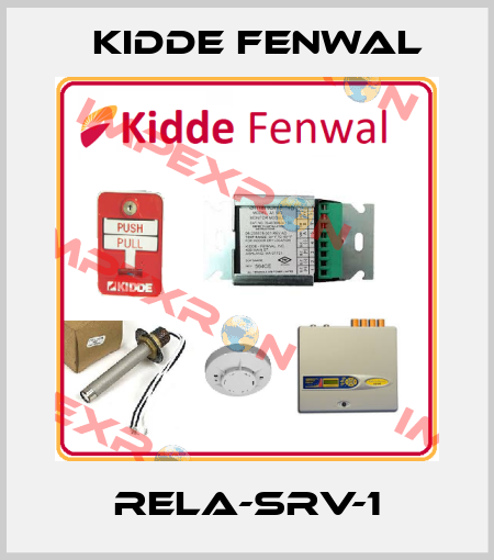 RELA-SRV-1 Kidde Fenwal