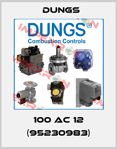 100 AC 12 (95230983) Dungs