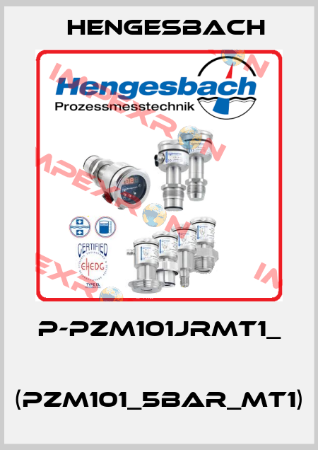 P-PZM101JRMT1_   (PZM101_5bar_MT1) Hengesbach
