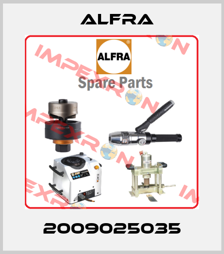 2009025035 Alfra