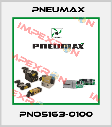 PNO5163-0100 Pneumax