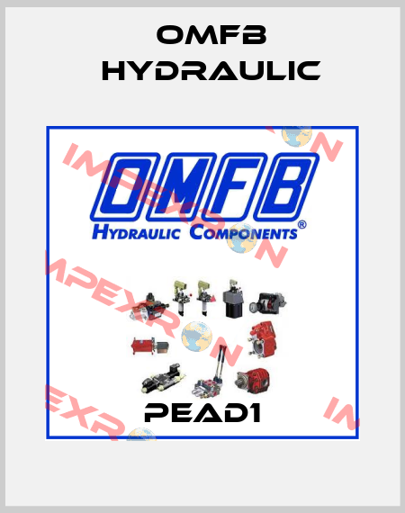 PEAD1 OMFB Hydraulic