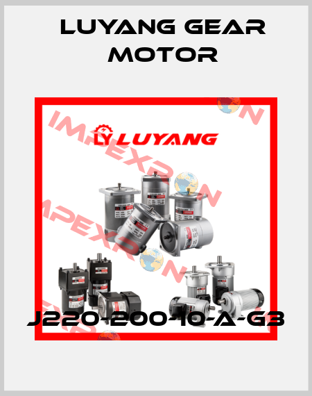 J220-200-10-A-G3 Luyang Gear Motor