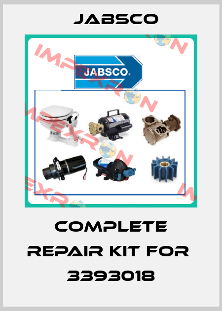 COMPLETE REPAIR KIT FOR  3393018 Jabsco