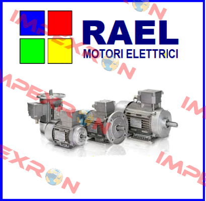 31282 RAEL MOTORI ELETTRICI