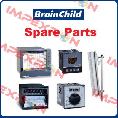 C42-431200000 Brainchild