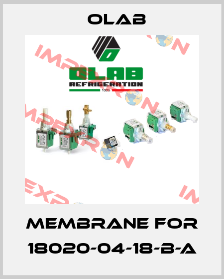 Membrane for 18020-04-18-B-A Olab