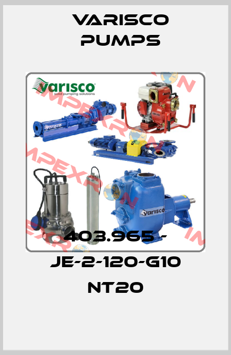 JE2-120G10NT20 (#8381063389) Varisco pumps