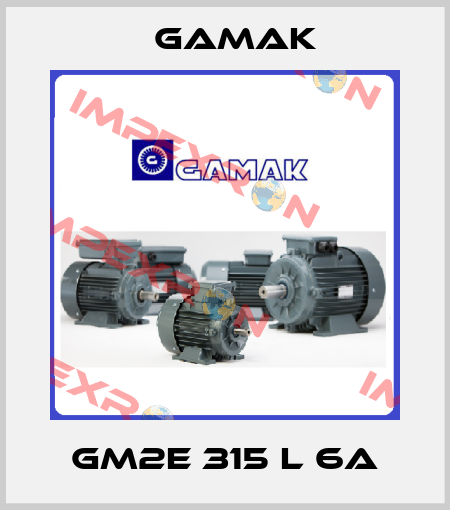 GM2E 315 L 6a Gamak