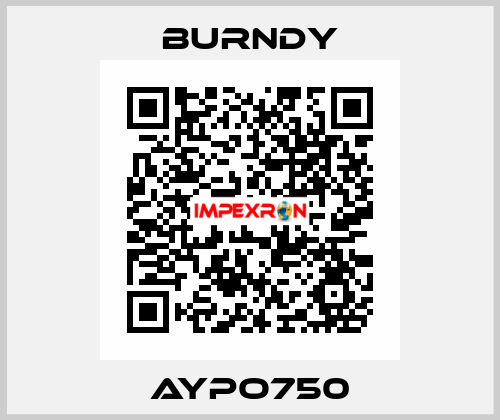 AYPO750 Burndy