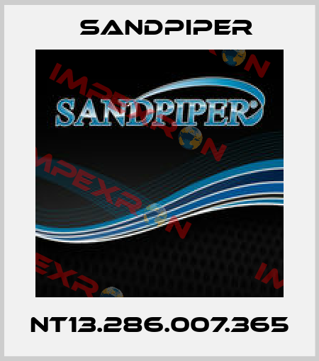 NT13.286.007.365 Sandpiper