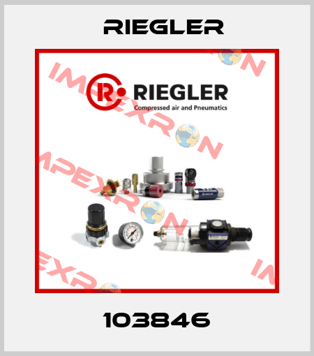 103846 Riegler