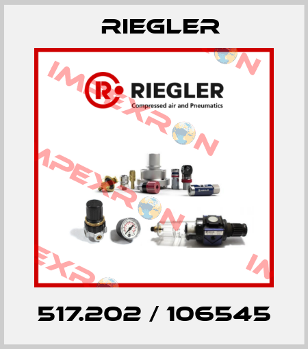 517.202 / 106545 Riegler