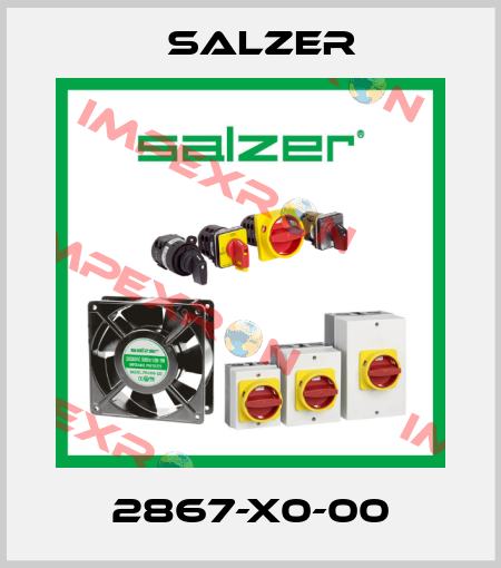 2867-X0-00 Salzer