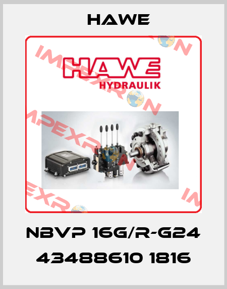 NBVP 16G/R-G24 43488610 1816 Hawe
