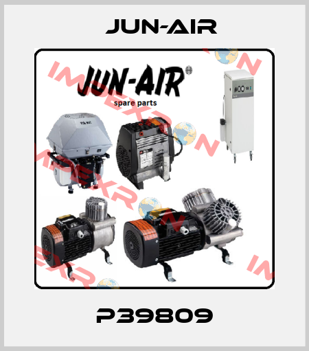 P39809 Jun-Air