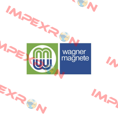 115W-10/250-11 SS-2:110 Wagner Magnete