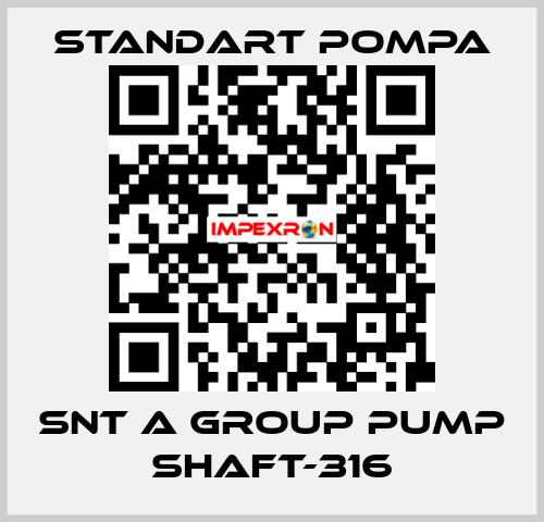 SNT A GROUP PUMP SHAFT-316 STANDART POMPA