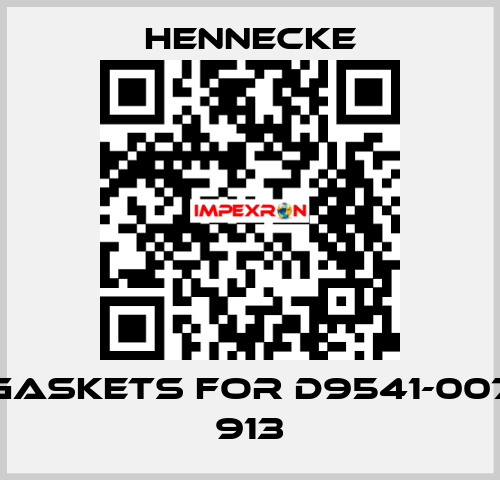 gaskets for D9541-007 913 Hennecke