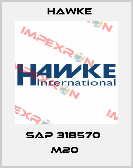 SAP 318570   M20  Hawke