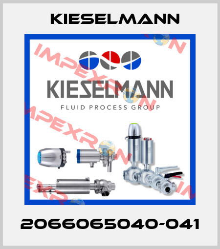 2066065040-041 Kieselmann