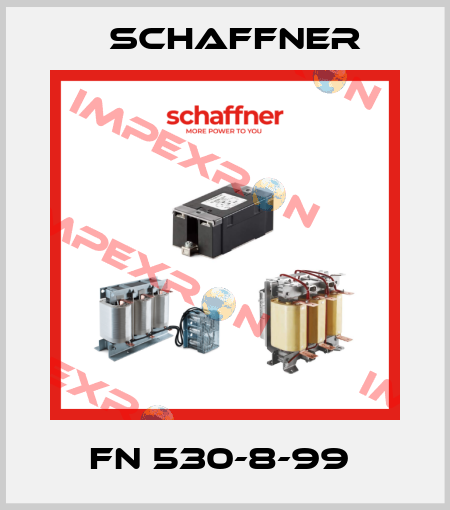 FN 530-8-99  Schaffner