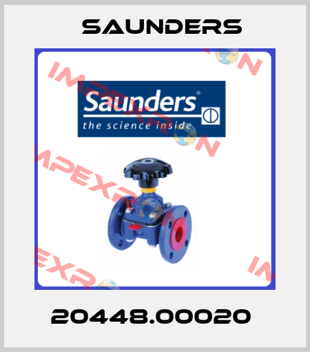 20448.00020  Saunders