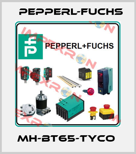 MH-BT65-Tyco  Pepperl-Fuchs