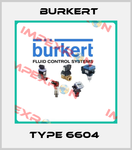 Type 6604  Burkert