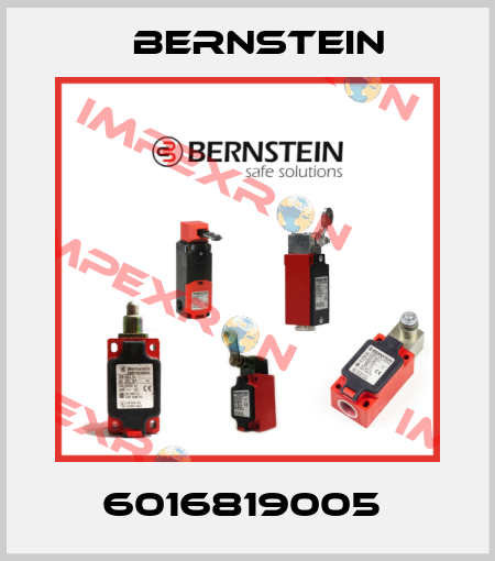 6016819005  Bernstein