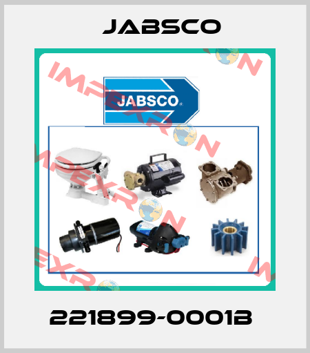 221899-0001B  Jabsco
