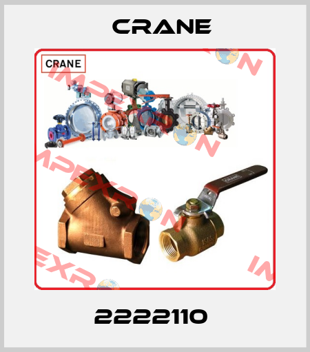 2222110  Crane