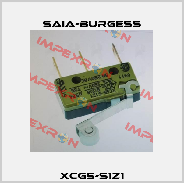 XCG5-S1Z1 Saia-Burgess
