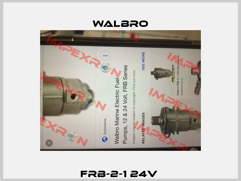 FRB-2-1 24V  Walbro