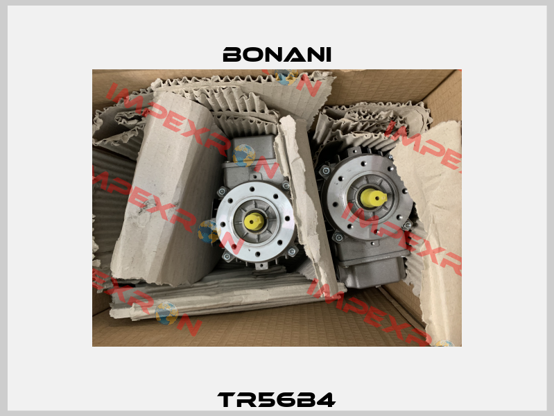 TR56B4 Bonani