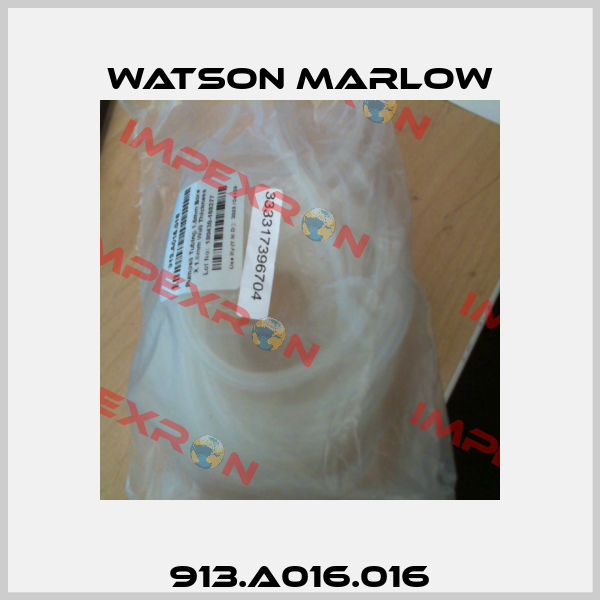 913.A016.016 Watson Marlow